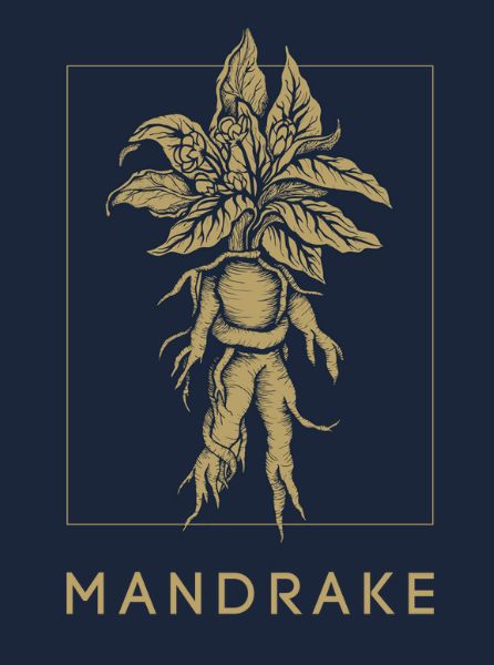 logo mandrake blue